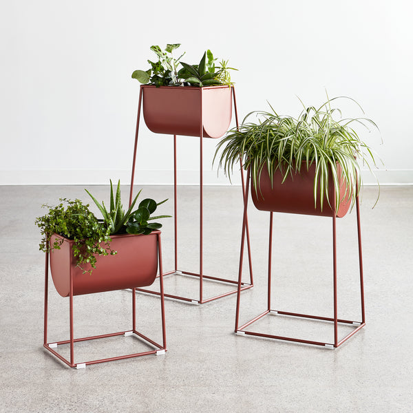 Sneak Peek: New Gus* Modern