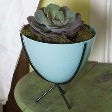 Planters