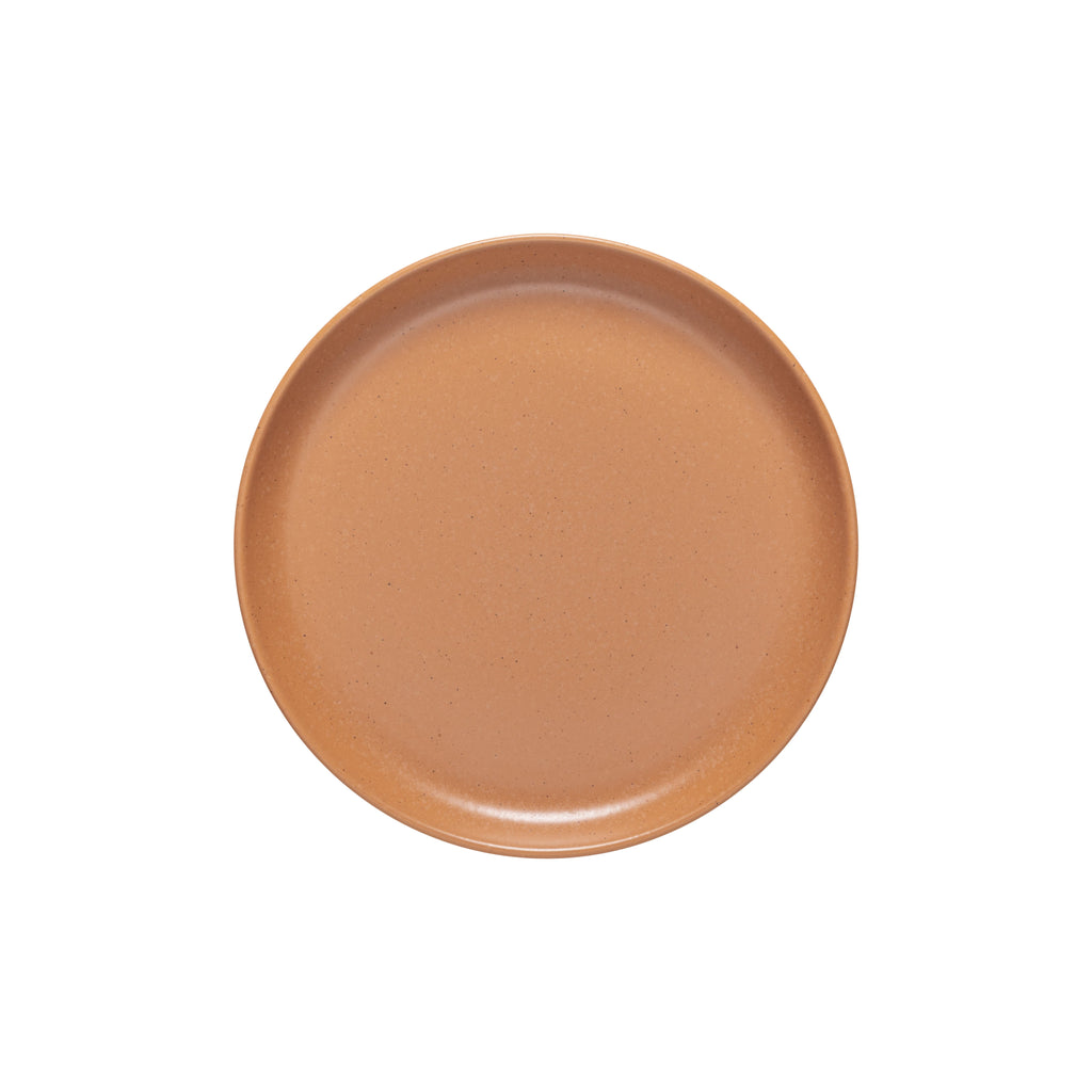 Pacifica Terracotta Dinner Plate 25