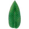 Riviera Tomate Strelizia Leaf