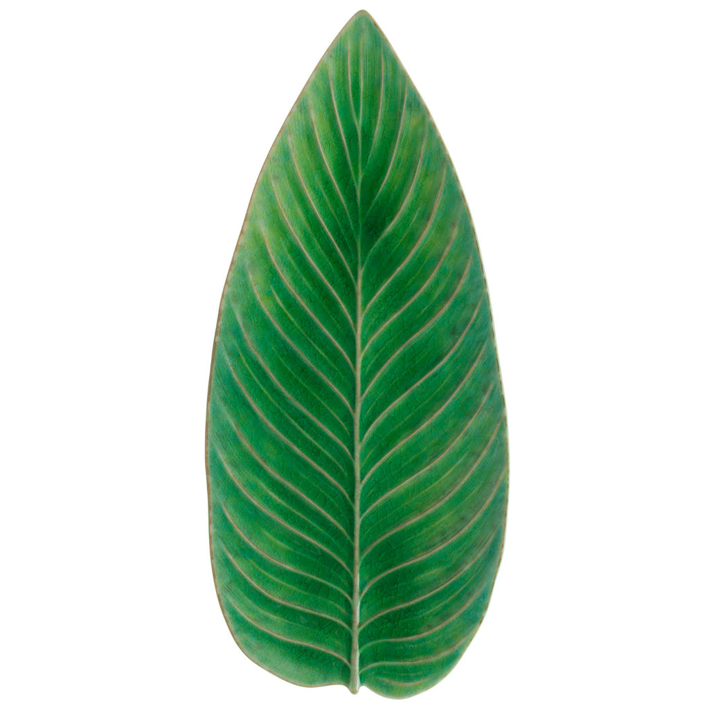 Riviera Tomate Strelizia Leaf