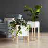 Gus* Modern Atrium Planters in a styled room setting