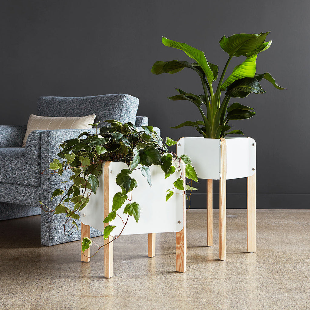 Gus* Modern Atrium Planters in a styled room setting