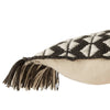 Chesa Outdoor Lumbar Pillow 13'X21' - alternate view