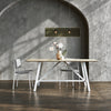 Gus* Modern Signal Dining Chair in a styled room setting