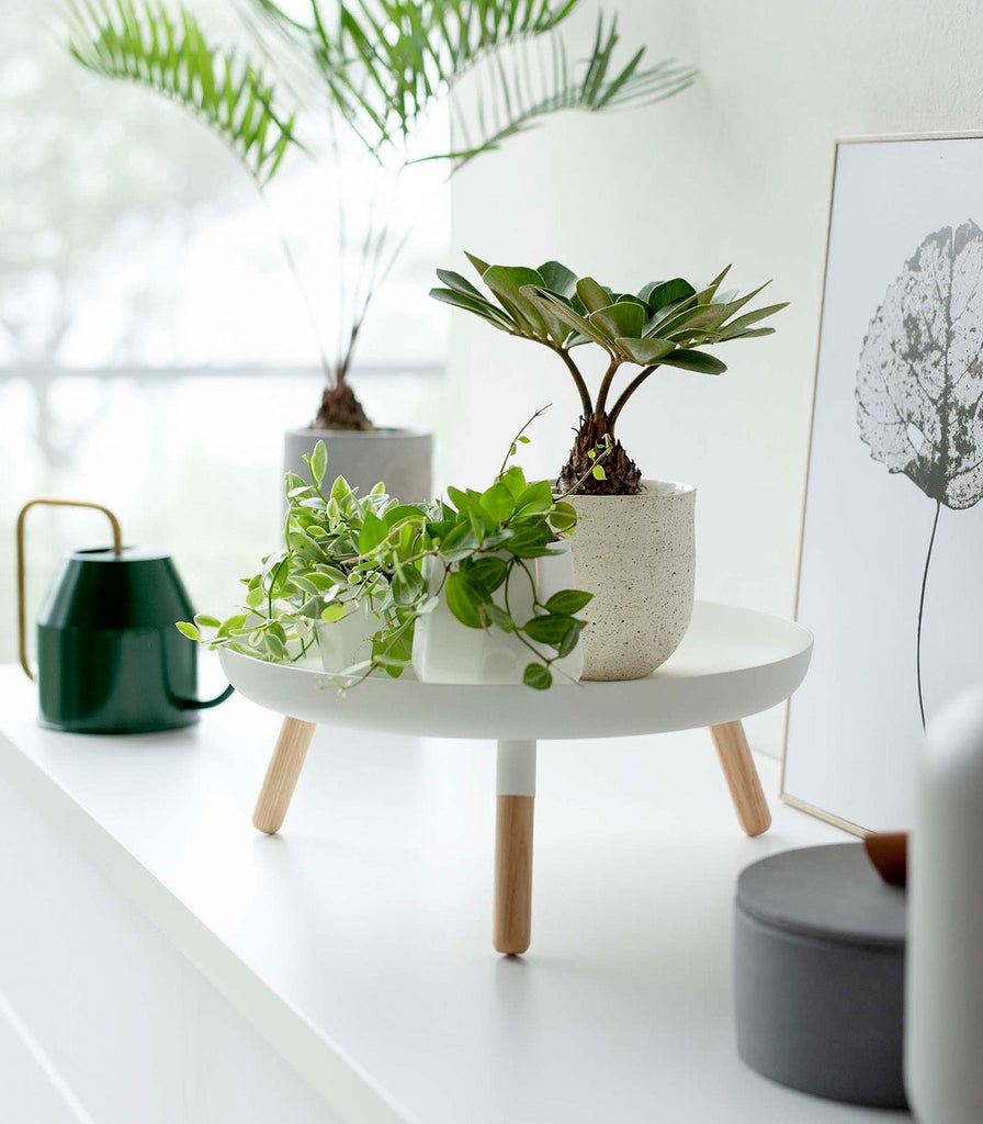 Countertop Pedestal Tray (5" H)  - Steel + Wood - touchGOODS