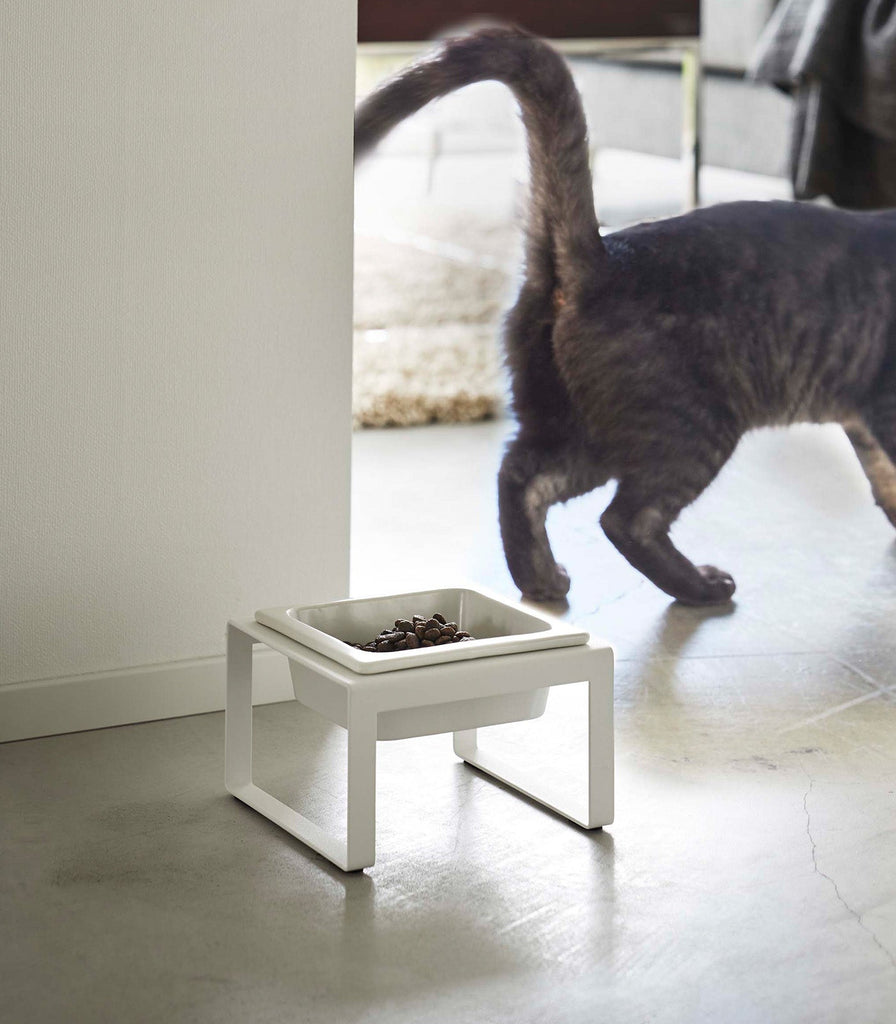 Single Pet Food Bowl - Two Styles - touchGOODS