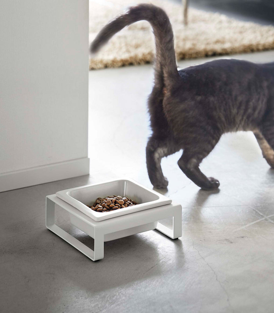 Single Pet Food Bowl - Two Styles - touchGOODS