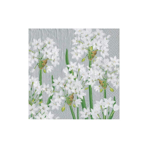 Paperwhites Paper Cocktail Napkins in Silver - 20 Per Package - touchGOODS