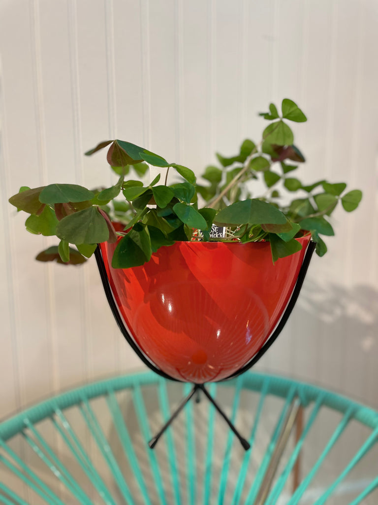 retro planter pots Mini Retro Planter