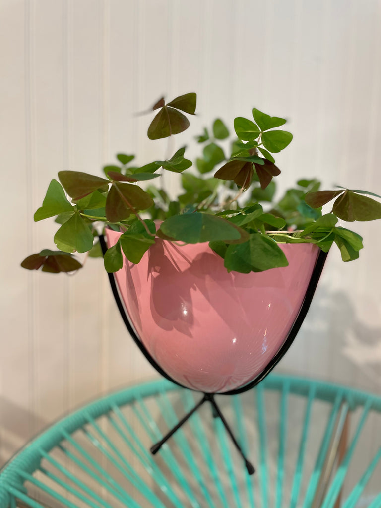 retro plant pots Mini Retro Planter